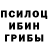 Галлюциногенные грибы Magic Shrooms Legendary Sage