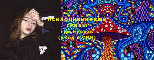 mix Бородино