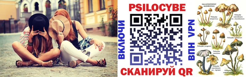 Купить где  Мурино  Галлюциногенные грибы Psilocybe 